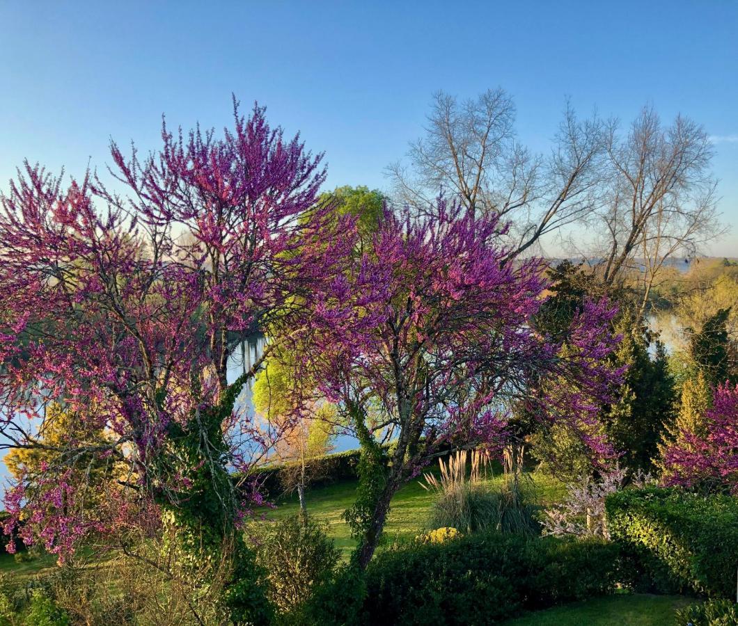 La Suite A Chateau Franc Daut Saint-Magne-de-Castillon Екстер'єр фото